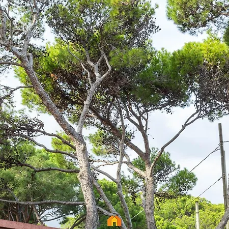 Le Sirene On The * Fort Village